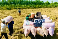 Xuất khẩu nông sản: Thoát khỏi vòng luẩn quẩn