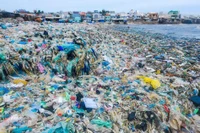 Cần sự vào cuộc mạnh mẽ