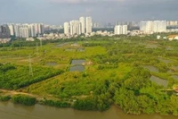 Cổ phiếu nhà Quốc Cường Gia Lai lại nổi sóng