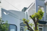 Nhà phố 2 tầng nổi bật lấy cảm hứng từ 'búp măng non'