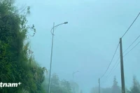 Thời tiết ngày 25/4: Các vùng trên cả nước có mưa dông