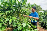 Quan tâm, chăm lo thanh niên dân tộc thiểu số