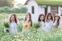 Những điểm đến xanh 'chữa lành' trong ngày Hè nóng bức gần Thủ đô Hà Nội