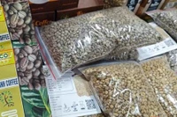 Giá cà phê hôm nay 11-2: Arabica tăng mạnh như 'sóng thần'