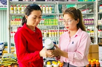 Tăng cường kiểm soát phân bón, thuốc bảo vệ thực vật