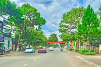 Tiễn một người qua phố