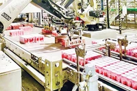 Nền tảng pháp lý, niềm tin chính trị thực thi Net Zero