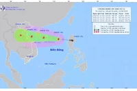 Áp thấp nhiệt đới đã mạnh lên thành cơn bão số 5