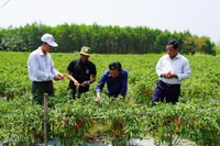 Quyết tâm mới ở những địa phương sáp nhập: Bắt tay hành động từ ngày đầu, tháng đầu