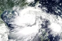 Năm 2025 có bao nhiêu cơn bão đổ bộ vào Việt Nam?