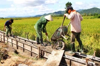 Đột phá vươn lên từ nội lực