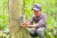 Thạc sĩ Nguyễn Ái Tâm: Khi rừng là nhà…