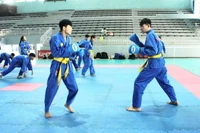 Giải Vô địch Vovinam khu vực miền Trung-Tây Nguyên lần thứ 3: Gia Lai phấn đấu vào top 3