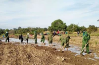 Xây thế trận lòng dân từ mô hình trồng lúa nước