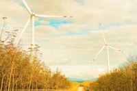 Phát triển năng lượng tái tạo: “Mở đường” cho những dự án lớn