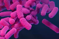 Canada công bố danh sách 29 siêu vi khuẩn nguy hiểm nhất đối với con người