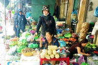 Rau xanh khan hiếm, tôm cá dư thừa