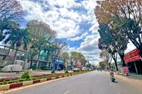 Thơ Lenguyen: Mùa qua phố