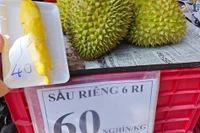 Sầu riêng loạn giá, xuất khẩu giảm sâu