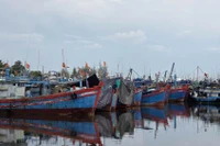 Tàu thuyền đang neo trú tại Cảng cá Tịnh Hòa (xã Đông Sơn, tỉnh Quảng Ngãi). Ảnh: baovanhoa.vn