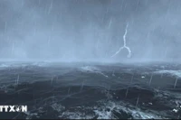 Các tỉnh, thành phố từ Quảng Ninh đến Phú Yên chủ động ứng phó áp thấp nhiệt đới