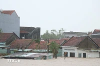 Mưa lũ miền Trung-Tây Nguyên: 55 người chết, thiệt hại hơn 8.980 tỷ đồng