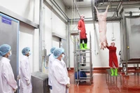 Khuyến khích đầu tư xây dựng cơ sở giết mổ động vật tập trung