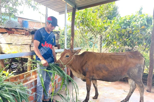 Đồng bào dân tộc thiểu số khu vực phía Tây tỉnh thay đổi nếp nghĩ, cách làm trong tư duy sản xuất, sinh kế, đạt nhiều tín hiệu khởi sắc trong đời sống.