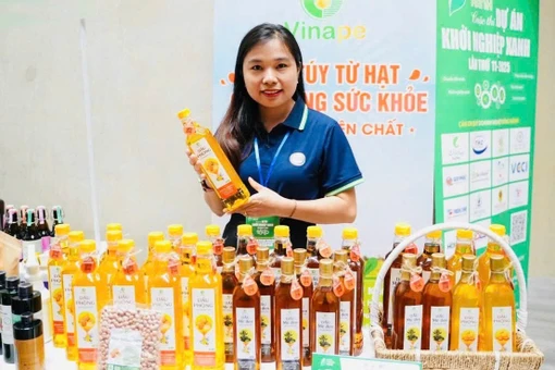 Người trẻ Gia Lai khởi nghiệp sáng tạo từ nông sản và ẩm thực quê nhà, với nhiều dự án lọt vào vòng bán kết cuộc thi.