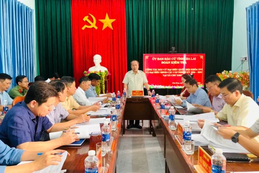 Phó Bí thư Tỉnh ủy Gia Lai Châu Ngọc Tuấn dẫn đầu đoàn kiểm tra công tác chuẩn bị bầu cử và vận hành chính quyền 2 cấp tại xã Kông Chro và xã Chư Krey ngày 16-1.