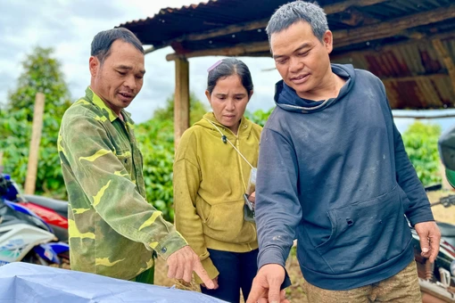 Dự án thành phần 3 cao tốc Quy Nhơn-Pleiku đảm bảo khởi công theo đúng kế hoạch trong tháng 12-2025.