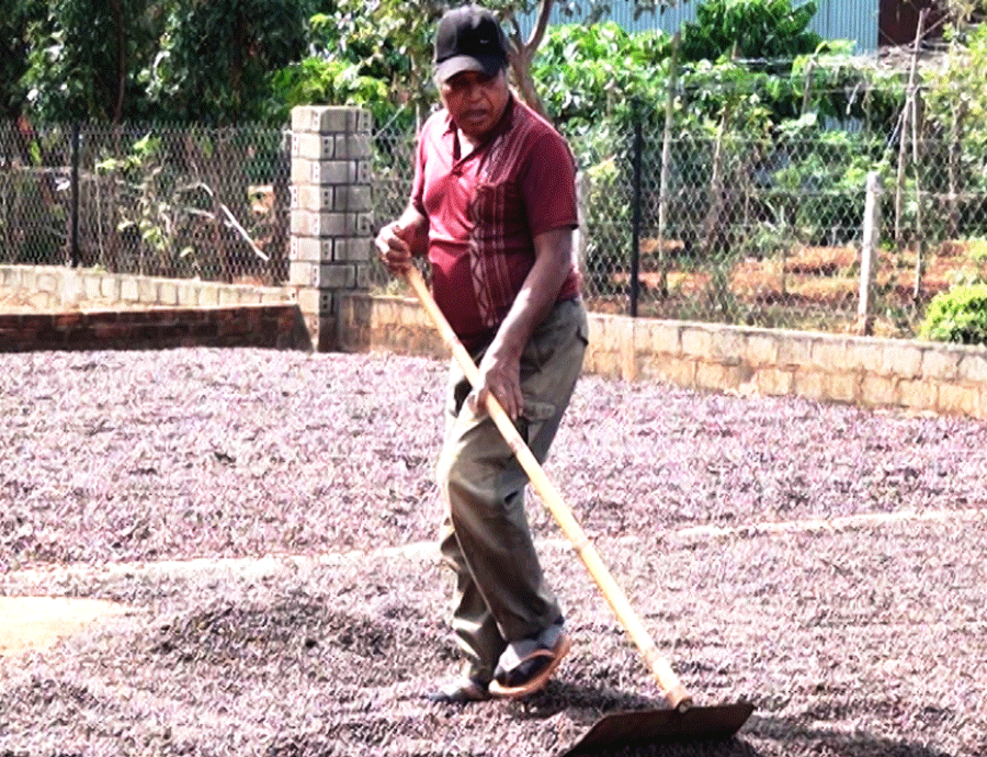 Ông Đinh Lút là tấm gương sản xuất kinh doanh giỏi ở làng Groi 2. Ảnh: H.T Ông Đinh Lút là tấm gương sản xuất kinh doanh giỏi ở làng Groi 2. Ảnh: H.T