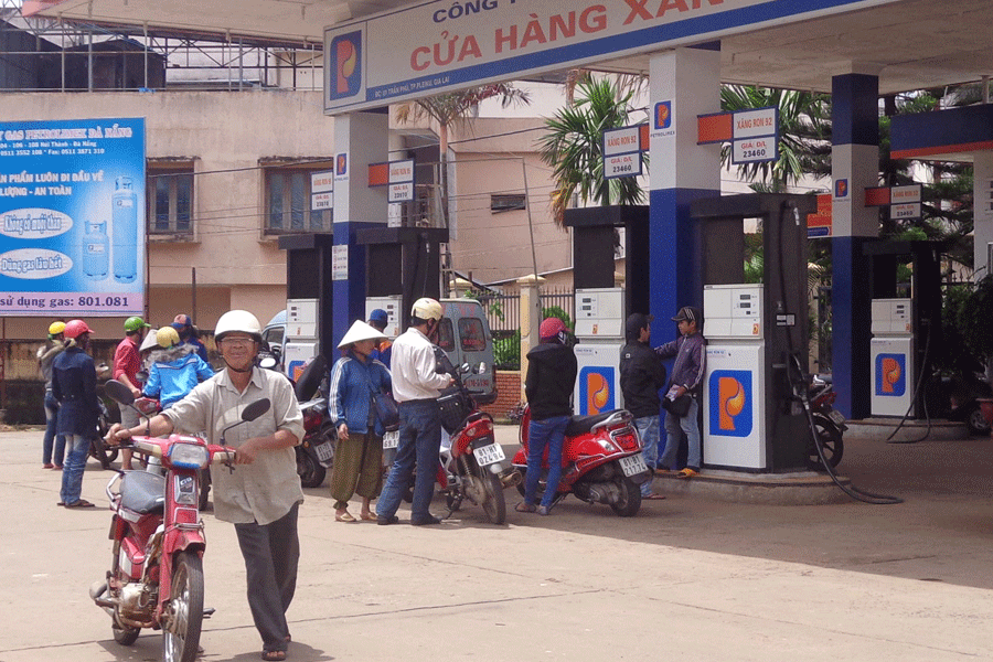 Ảnh: H.P Ảnh: H.P