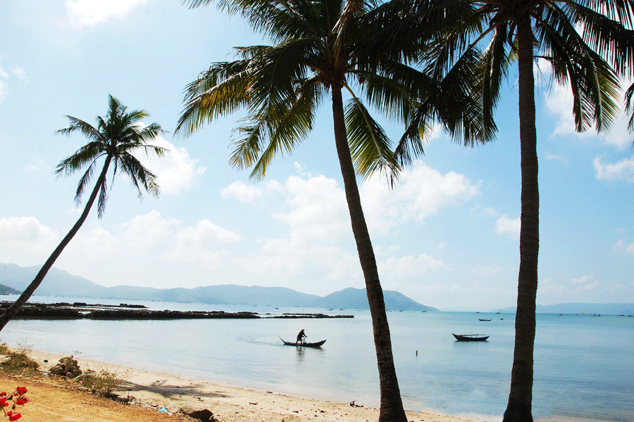 Một góc vịnh Xuân Đài. Ảnh: Dương Thanh Xuân Một góc vịnh Xuân Đài. Ảnh: Dương Thanh Xuân