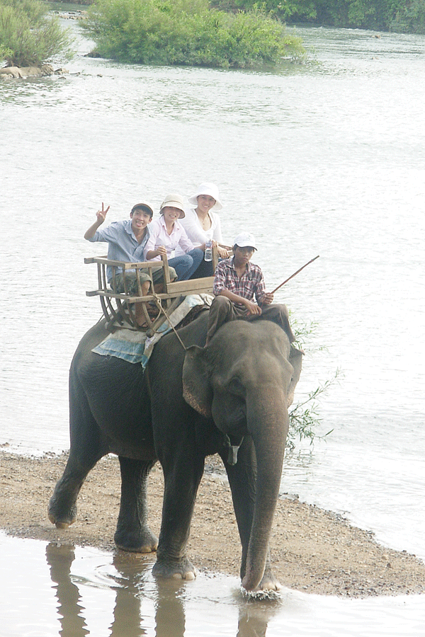 Voi phải gồng mình hàng ngày để phục vụ du lịch. Ảnh: Đ.Đ