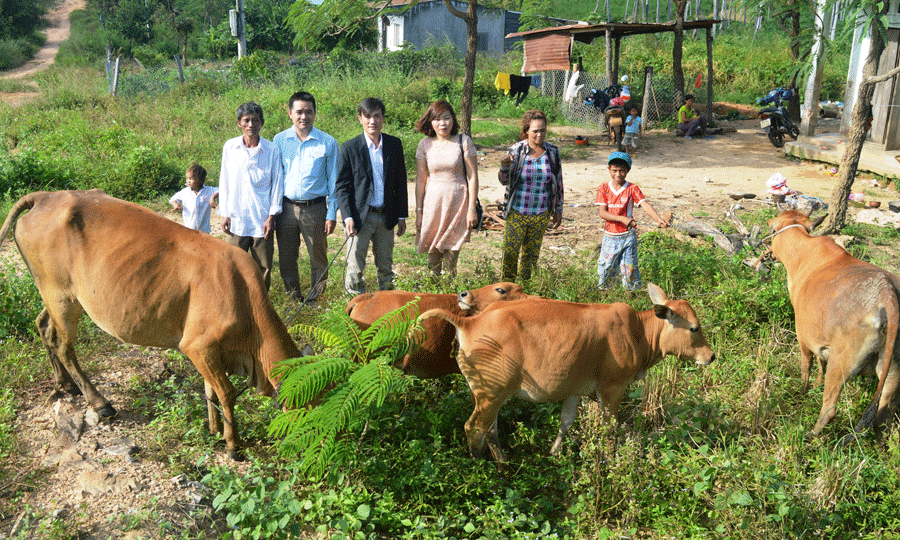 Từ số tiền đi XKLĐ của chị gái Nay H’Le gửi về, chị Nay H’Len đã có vốn mua 4 con bò, sửa chữa nhà cửa và khoan giếng. Ảnh: Đ.Y