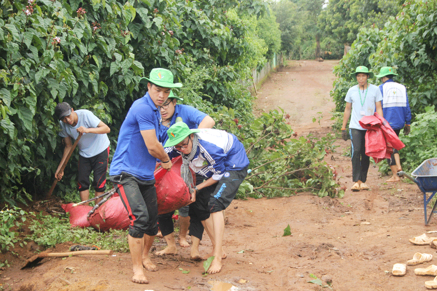 Đoàn viên thanh niên Trường ĐH Nông lâm TP. Hồ Chí Minh-Phân hiệu Gia Lai giúp dọn dẹp, phát quang đường làng ngõ xóm. Ảnh: P.L Đoàn viên thanh niên Trường ĐH Nông lâm TP. Hồ Chí Minh-Phân hiệu Gia Lai giúp dọn dẹp, phát quang đường làng ngõ xóm. Ảnh: P.L