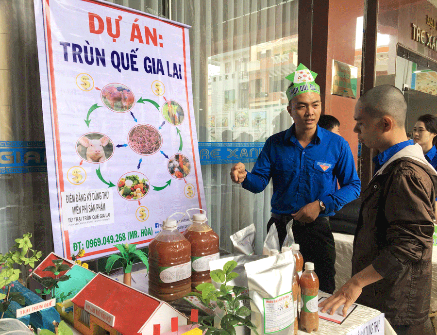 Dự án “Trùn quế Gia Lai” nhận được sự quan tâm của đông đảo người tiêu dùng. Ảnh: P.L