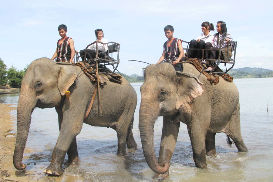 Sau khi được cúng sức khỏe, bầy voi lại chở khách dạo chơi bên hồ Lak. Ảnh: Y.T.N Sau khi được cúng sức khỏe, bầy voi lại chở khách dạo chơi bên hồ Lak. Ảnh: Y.T.N
