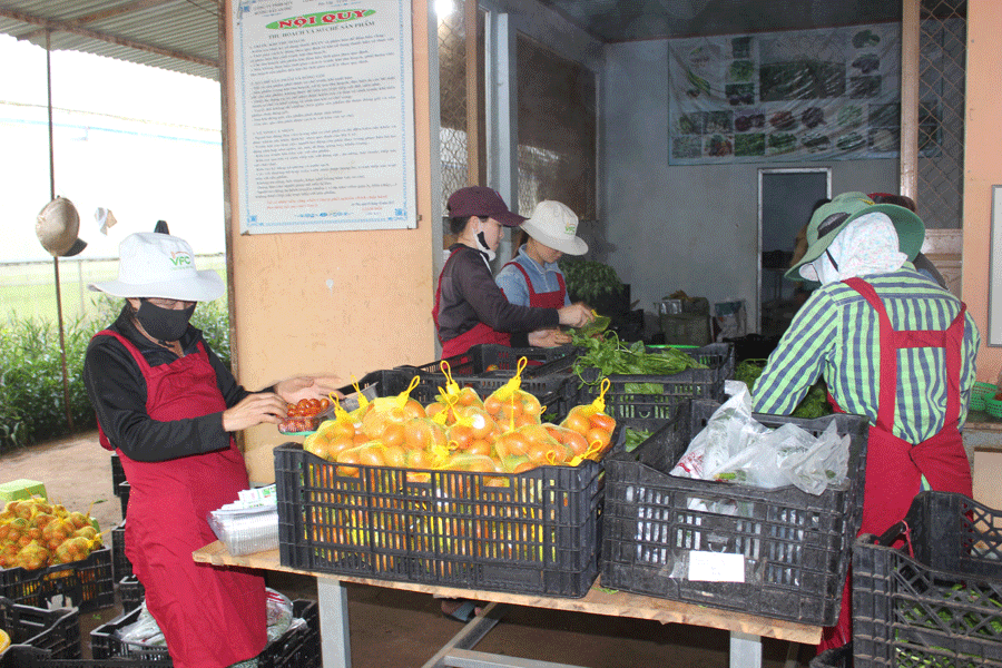 Ảnh: N.D Ảnh: N.D