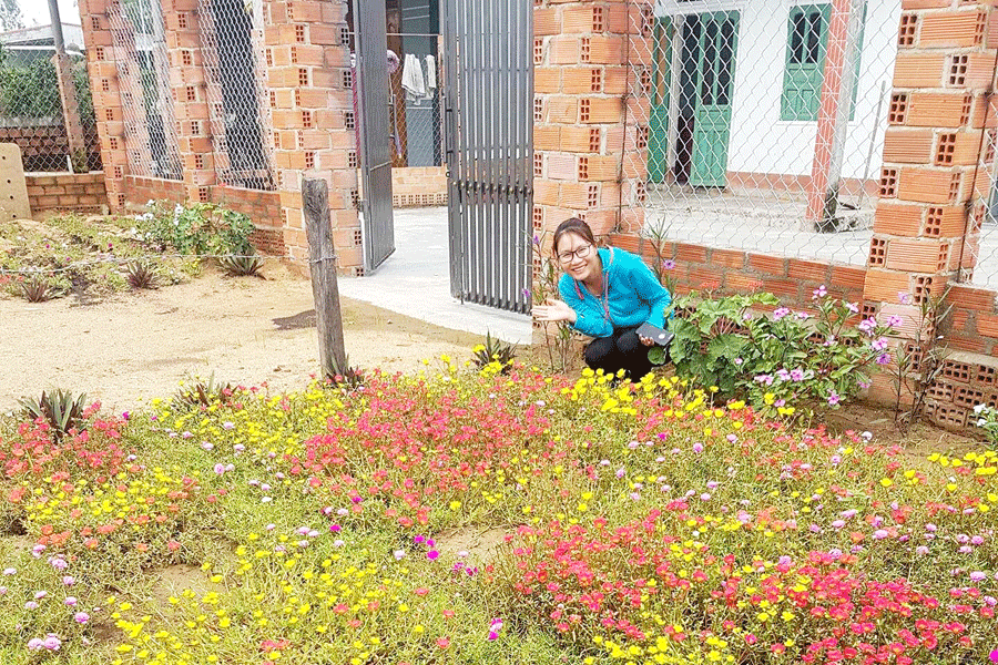 Những vạt hoa sam rực rỡ do hội viên chi hội Phụ nữ thôn An Điền Bắc 2 trồng và chăm sóc theo mô hình “Con đường hoa”. Ảnh: L.H