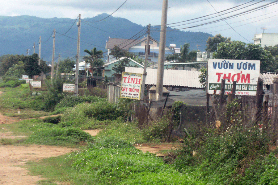 Các vườn ươm giống cây trồng mọc lên nhan nhản dọc quốc lộ 14. Ảnh: L.N Các vườn ươm giống cây trồng mọc lên nhan nhản dọc quốc lộ 14. Ảnh: L.N
