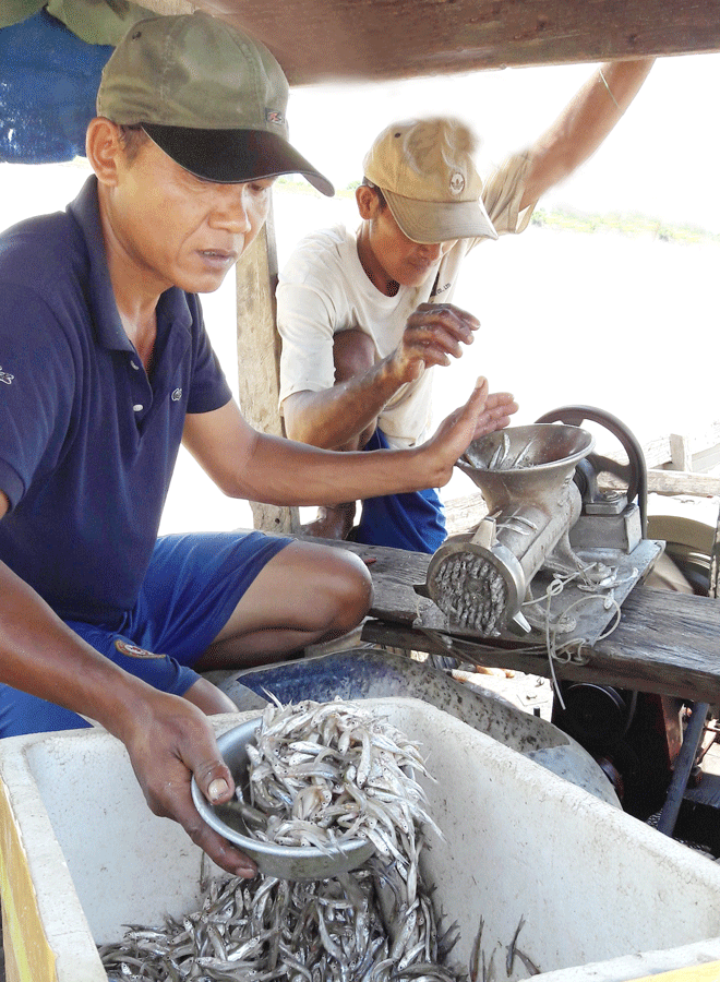 Ông Nay Ly đang xay thức ăn cho cá. Ảnh: Đ.Y