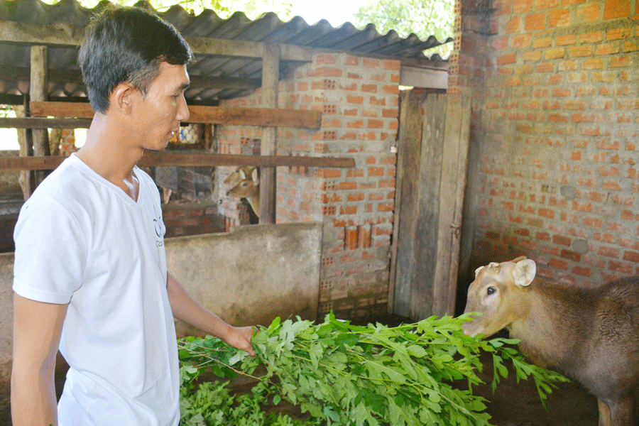 Anh Nguyễn Hoàng Nam cho hươu ăn. Ảnh: Hà Đức Thành Anh Nguyễn Hoàng Nam cho hươu ăn. Ảnh: Hà Đức Thành