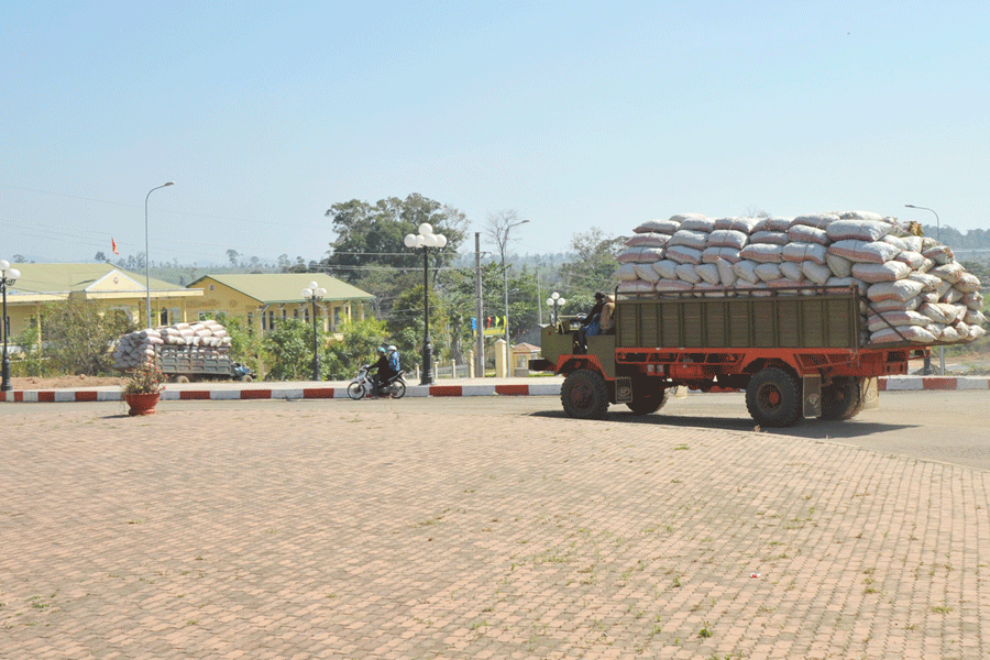 Hàng hóa nông sản tăng mạnh nhờ hiệu quả từ chính sách. Ảnh: N.H Hàng hóa nông sản tăng mạnh nhờ hiệu quả từ chính sách. Ảnh: N.H