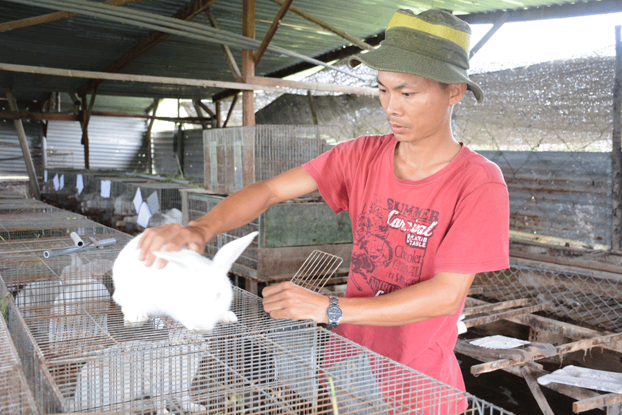 Phạm Nhật Duy đamg chăm sóc thỏ. Ảnh: H.Đ.T