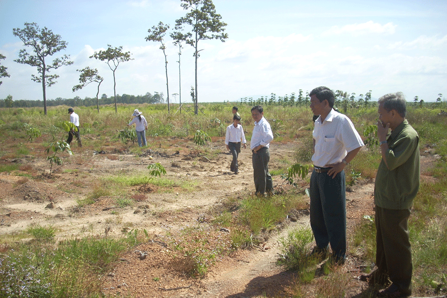 Khảo sát quỹ đất để trồng rừng. Ảnh: L.T Khảo sát quỹ đất để trồng rừng. Ảnh: L.T