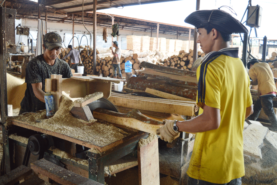 Lao động làm việc tại nhà máy gỗ cao su dễ xảy ra bị tai nạn lao động. Ảnh: Đ.Y