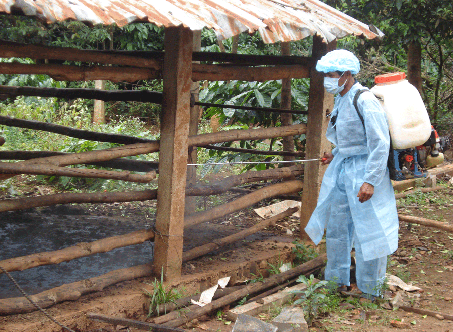 Phun thuốc tiêu độc khử trùng khu vực chăn nuôi. Ảnh: N.D Phun thuốc tiêu độc khử trùng khu vực chăn nuôi. Ảnh: N.D