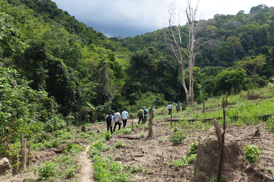 Những cung đường rừng mang đến trải nghiệm thú vị cho khách du lịch. Ảnh: H.N Những cung đường rừng mang đến trải nghiệm thú vị cho khách du lịch. Ảnh: H.N